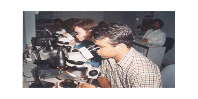 Indian Diamond Institute Society